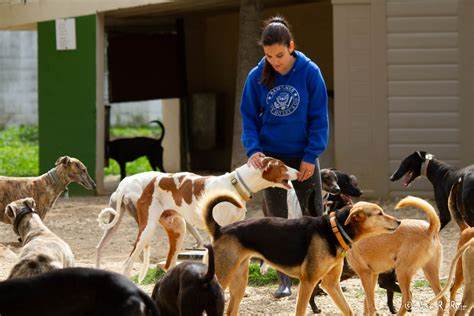 una mujer con perros alrededor