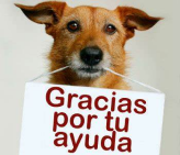 Imagen de la segunda card