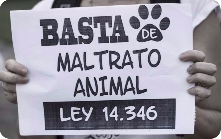 Imagen del banner